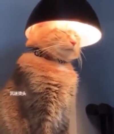 I guess it’s nice and warm?
