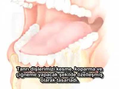 Zaman nasılda akıp geçiyor, insan hayret ediyor. Yaşamak zor zanaat.