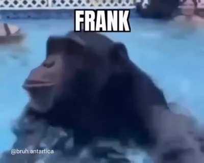 Watah monke