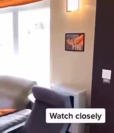 This messed up my brain