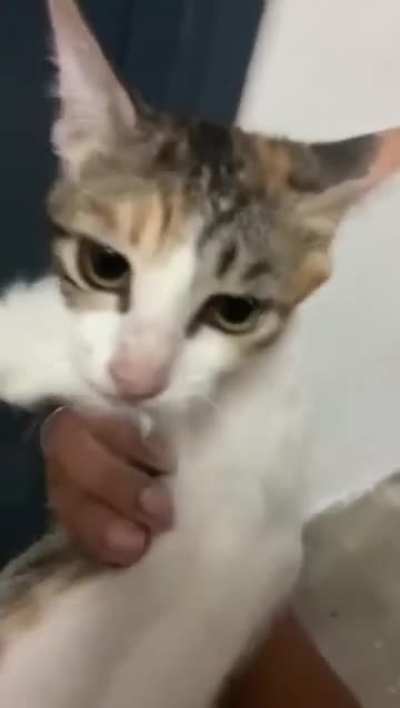 Losercity wunki