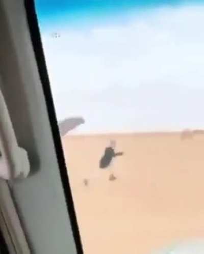 Something about this vid is soothing