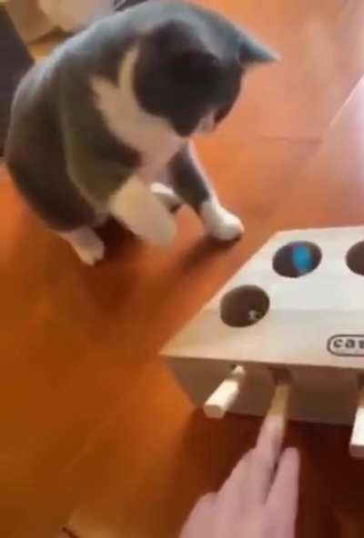 A frightening toy being used by a cat.