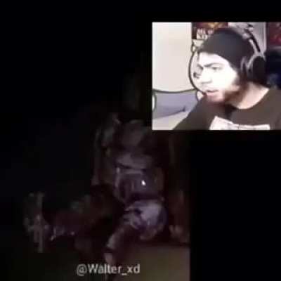 Xd