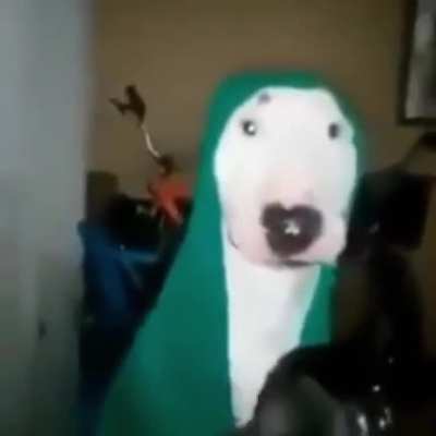 BuRH
