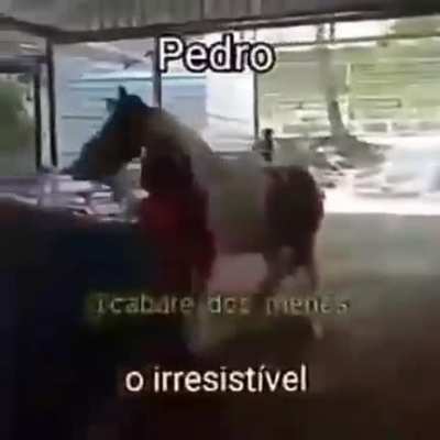 Qual vc &eacute; ?