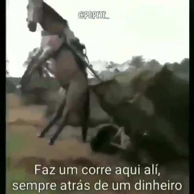 Vida boa!