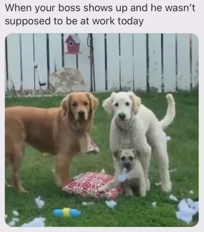 Wcgw leaving these 3 unsupervised