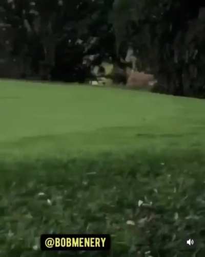 Deer sucks ain&rsquo;t cheatin&rsquo;