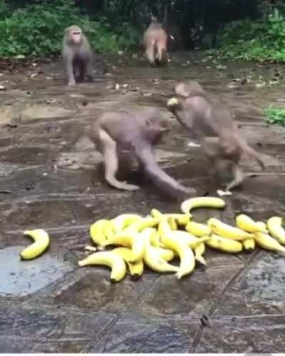 Кушать подано