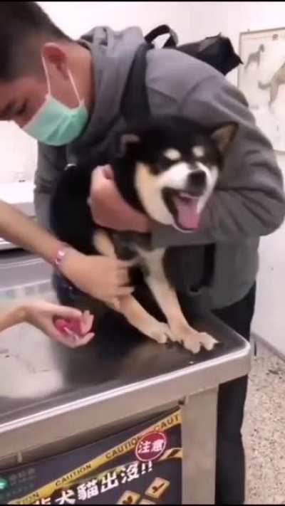 its the original audio, for sure