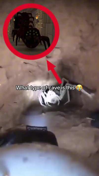 don't dive into specimen 3's ceiling holes