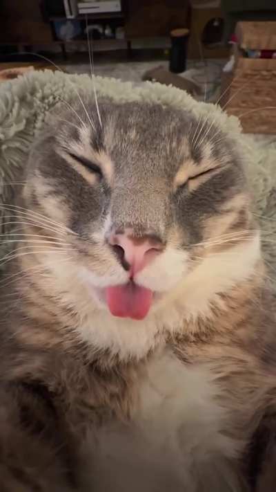 Gluugle