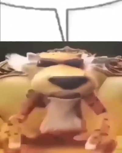 T&ocirc; aqui no matagal
