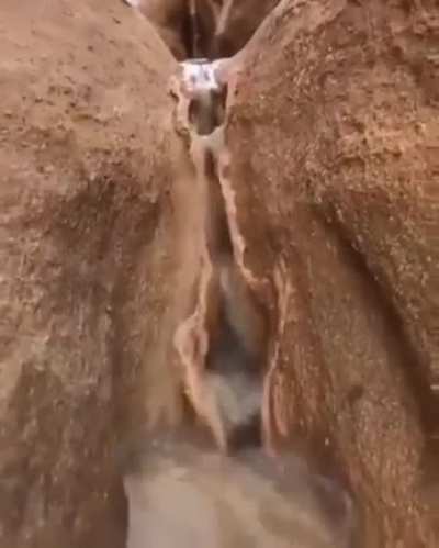 Wet ass pussy