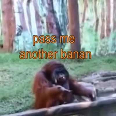 banan