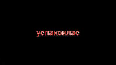 Звонок в офис Nintendo
