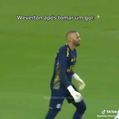 Goleiro Weverton j&aacute; se adaptou em seu novo clube