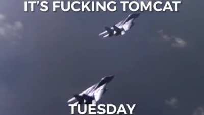 It&rsquo;s Tomcat Tuesday