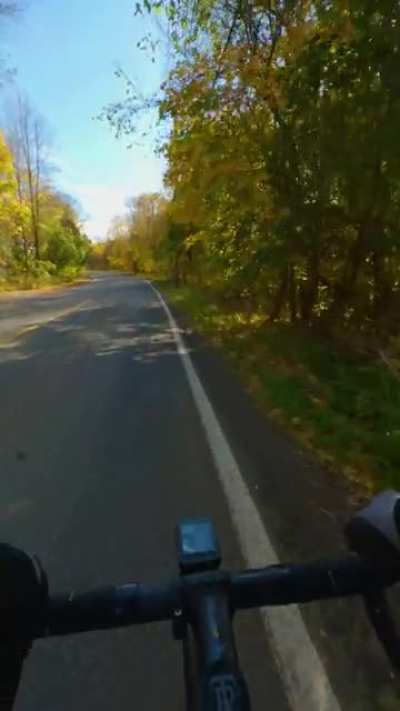 Most people&rsquo;s fixed gear content is all hectic and traffic. I live in the country. This is how I ride. 🤙🤙