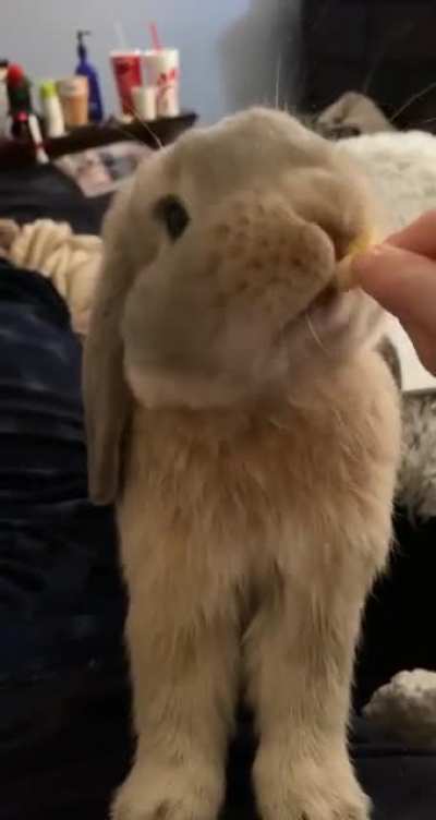 munchin away