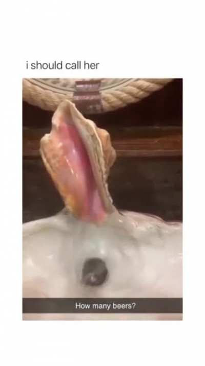 just. dont.