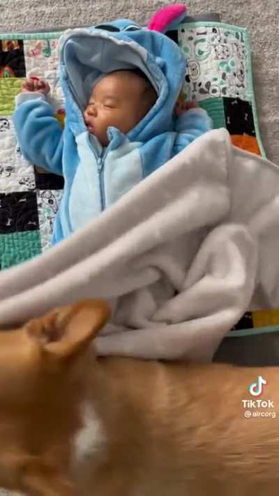 The Blankie Police