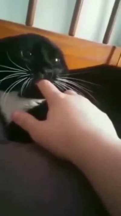 Let&rsquo;s see what happens when you finger a pussy.