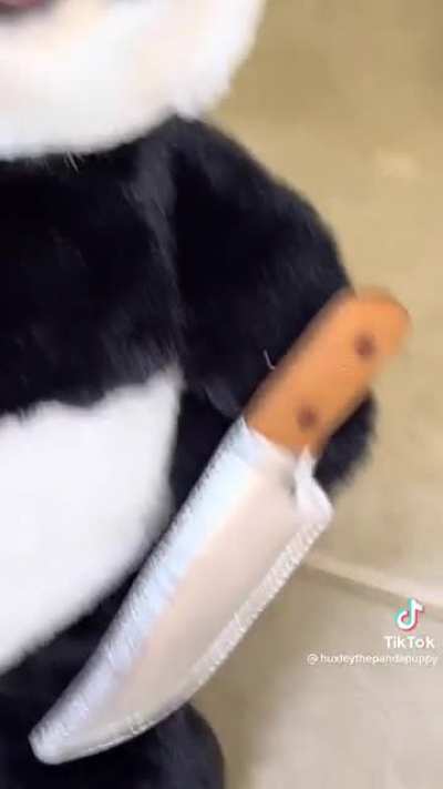 A dog for protection