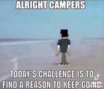 Alright Campers
