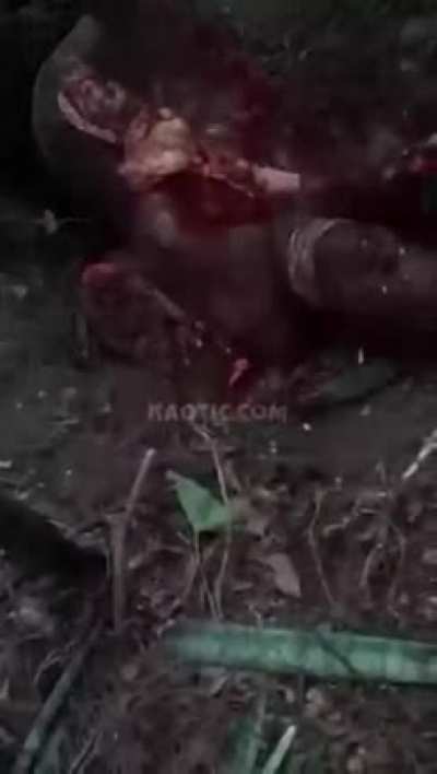 [EXTREME GORE/КРИТИЧЕСКИ УРОВЕНЬ ЖЕСТИ, КРОВЬ, КИШКИ, РАСПИДОРАСИЛО!] Негры потрошат ещё живую негритянку