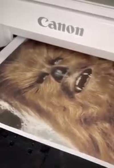 Chewbacca...