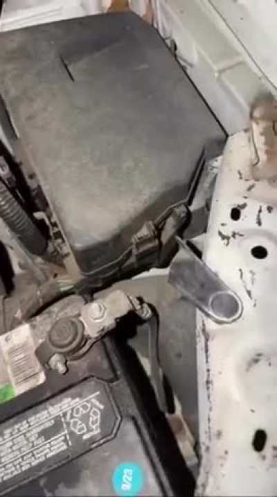 Im having trouble finding out whats wrong with my car.