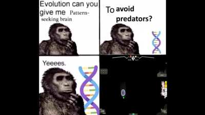 Peak of human evolution