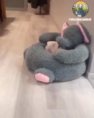 When it&rsquo;s worth the effort
