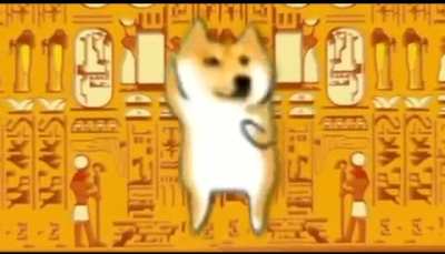 What da dog doin