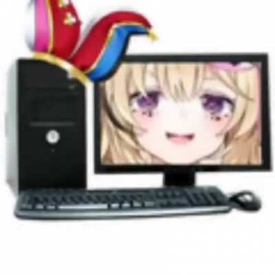She is computer