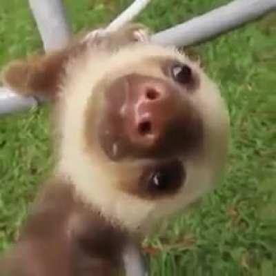 Ahhhhhh