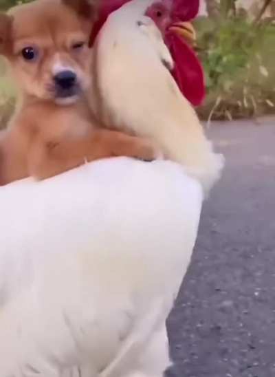 Melts My Heart
