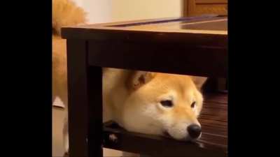 Yo despu&eacute;s de que Timi me borrara mi mimi: