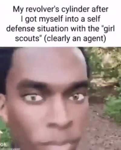Never answering the door again