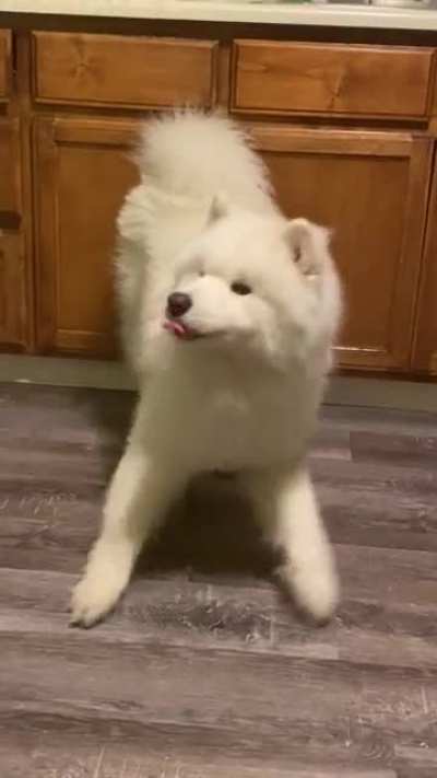 Nimbus being a goof