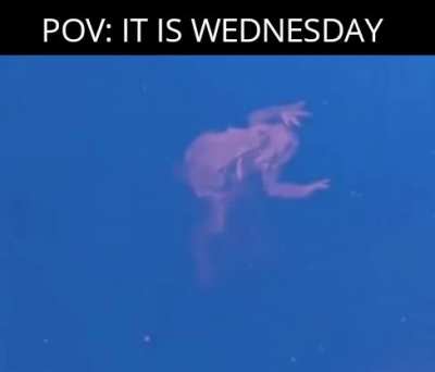 It's that day of the week again.
