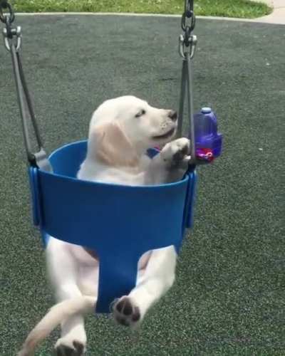 This is fine, please bring me treats from time to time
