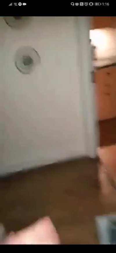 Cat_Screm