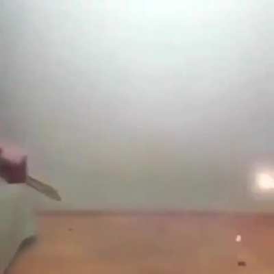 Squid game