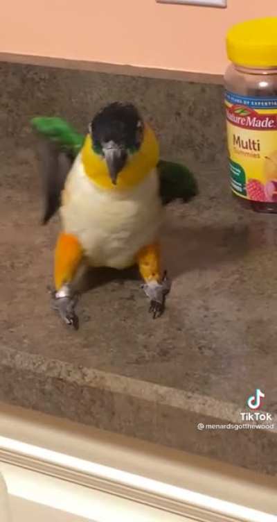 Not my parrot, but he&rsquo;s definitely got the party (credit: @menardsgotthewood on tiktok)