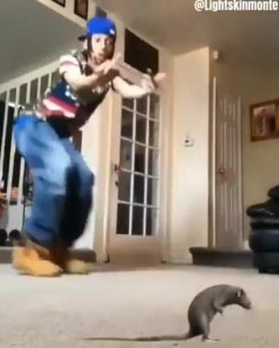 Oh shit