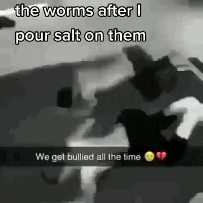 62463