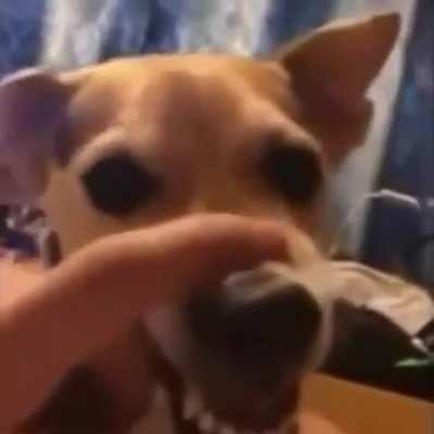 Achei fofinho e gostaria de compartilhar